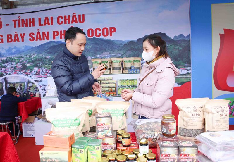 Mỗi HTX là một “cánh tay nối dài” giúp nông dân gắn bó với sản xuất hàng hóa, dần chuyên nghiệp hóa từ khâu trồng trọt đến thương mại.