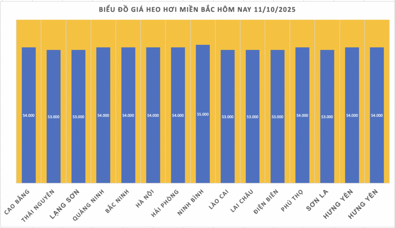 Giá heo hơi hôm nay 11/10/2025: Chững lại sau phiên rớt giá - 1