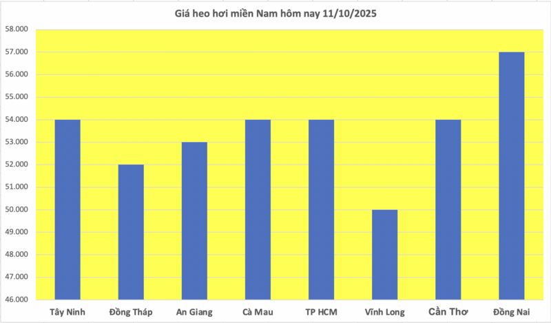Giá heo hơi hôm nay 11/10/2025: Chững lại sau phiên rớt giá - 3