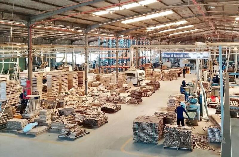 Nhà máy sản xuất, chế biến gỗ trong Khu công nghiệp Nhơn Hoà.