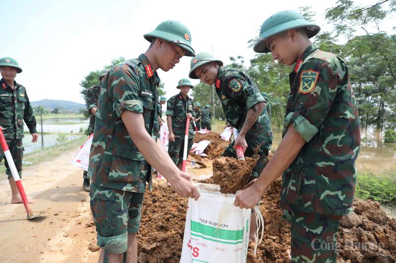 Tranh thủ từng giờ, cán bộ chiến sỹ Sư đoàn 3 (Quân khu 1) khẩn trương gia cố đê tại thôn Phú Cốc, xã Hợp Thịnh.