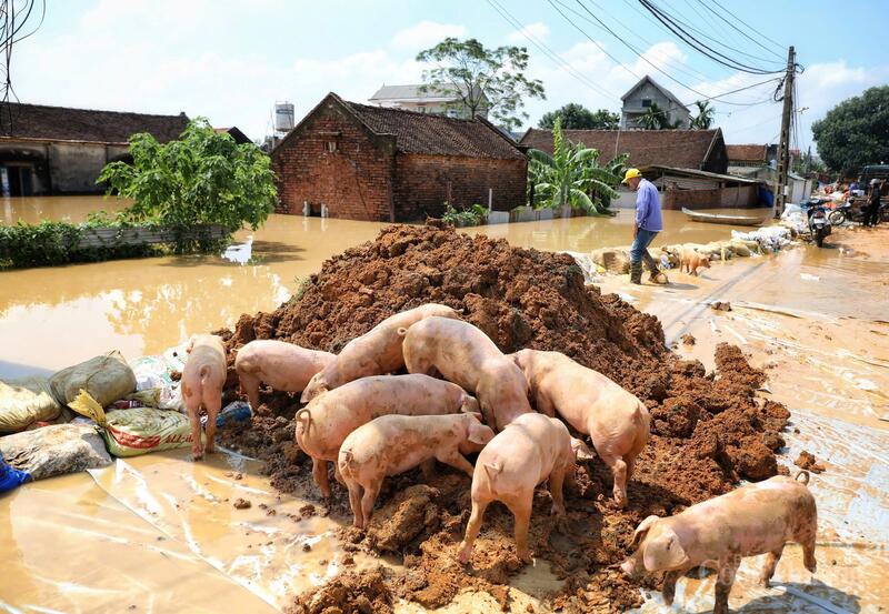 Mưa lũ gây thiệt hại lớn về tài sản, kinh tế của bà con.
