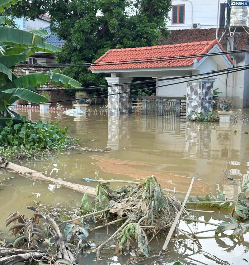 Nhiều khu dân cư tại Bắc Ninh vẫn chìm trong "biển" nước sau nhiều ngày mưa lũ, nhà cửa và tài sản bị hư hỏng nặng. Ảnh: TNTB