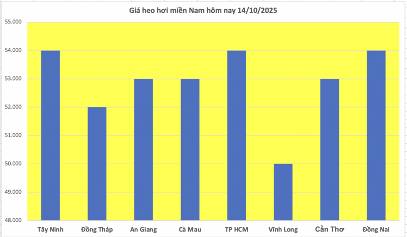 Giá heo hơi hôm nay 14/10/2025: Giảm nhẹ tại miền Trung và miền Nam - 3
