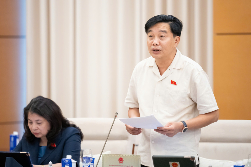 Phó Chủ nhiệm Ủy ban Kinh tế và Tài chính Nguyễn Minh Sơn.