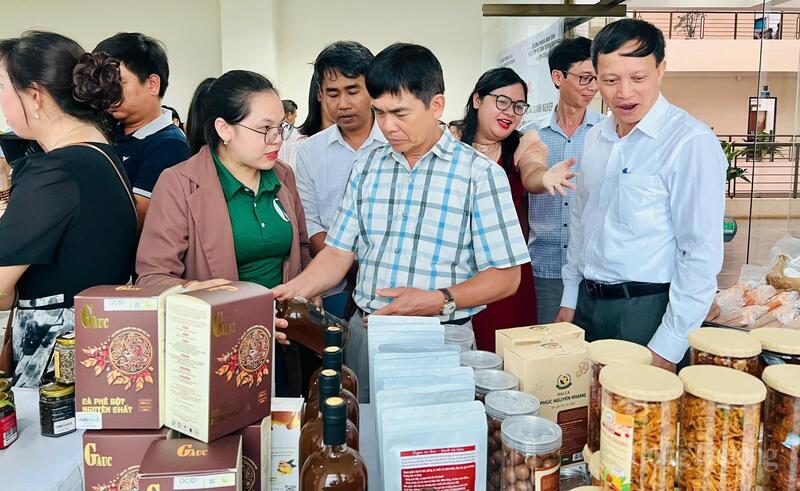 Các đơn vị được Sở Công Thương Gia Lai tạo điều kiện giới thiệu sản phẩm tới các doanh nghiệp tỉnh Ninh Bình. Ảnh: Hiền Mai