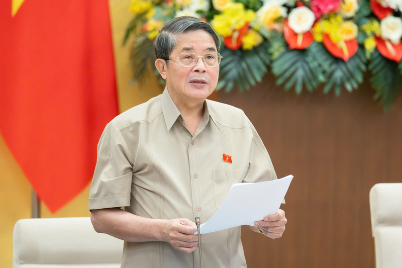 Phó Chủ tịch Quốc hội Nguyễn Đức Hải phát biểu tại thảo luận. Ảnh: VPQH