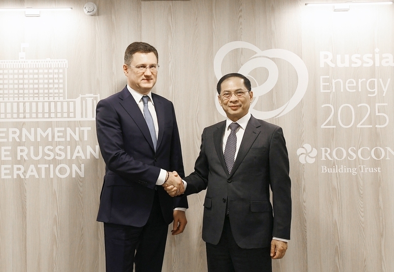 Phó Thủ tướng Chính phủ Bùi Thanh Sơn đã có cuộc làm việc với Phó Thủ tướng Chính phủ Liên bang Nga Aleksandr Novak - Ảnh: VGP/Hải Minh