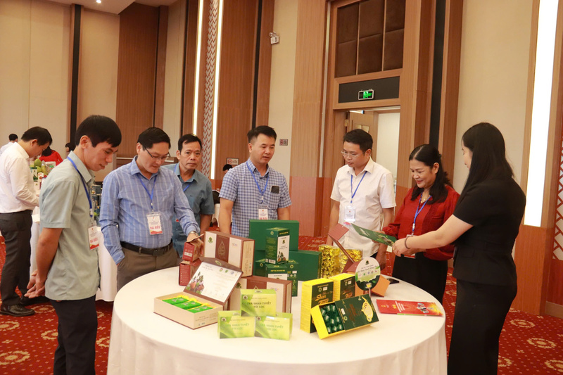 Khai mạc hội nghị xúc tiến thương mại tỉnh Tuyên Quang - 4
