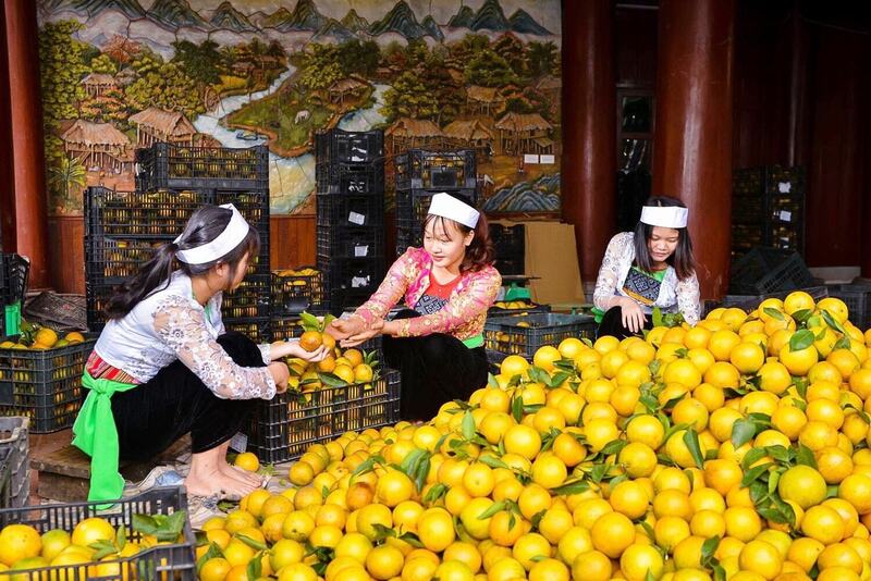 Các chính sách, cơ chế về phát triển kinh tế tư nhân sẽ tạo cơ hội để thu hút đầu tư, phát triển thị trường cho hàng hoá vùng cao. Ảnh minh họa