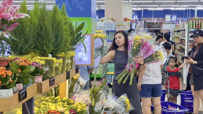 Phong phú các loại hoa từ cắt cành đến chậu… giá ưu đãi tại Co.opmart. Ảnh SGC