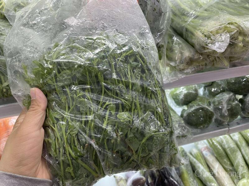 Mồng tơi tại cửa hàng rau hữu cơ có giá 55.000 đồng/kg cao gấp 2 lần rau ngoài chợ.