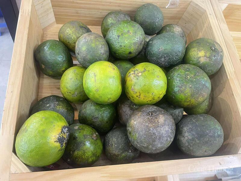 Nông sản an toàn đang dần thành thói quen mua sắm của nhiều bà nội trợ.