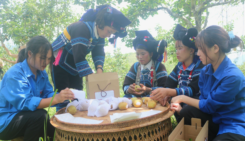 Bà con học cách đóng gói sản phẩm nông sản trước khi giao cho khách hàng. Ảnh: Quang Phấn