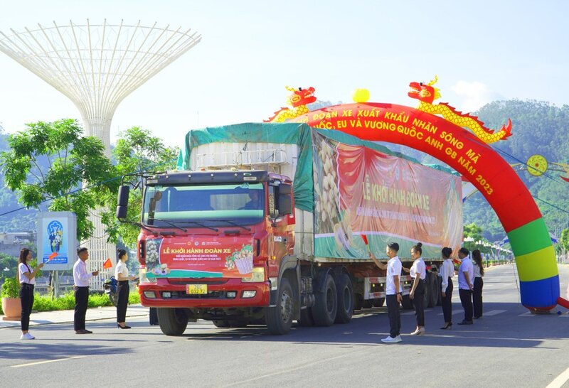 Giai đoạn 2021 - 2025, Bộ Công Thương tổ chức nhiều hội thảo, tọa đàm về quy tắc xuất xứ, giúp doanh nghiệp tận dụng tốt hơn UKVFTA. Ảnh: Khánh An