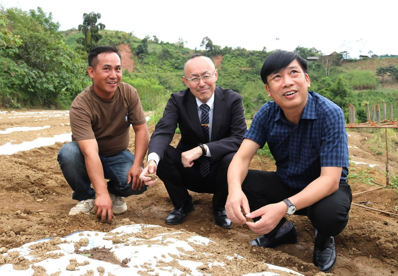Khảo sát đất trồng ngoài đồng ruộng. Ảnh JICA