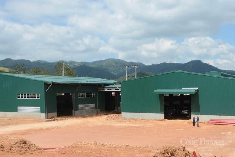 Nhà máy chế biến mủ cao su Điện Biên dự kiến đi vào hoạt động trong tháng 12/2025 với công suất 5.000 tấn/năm.