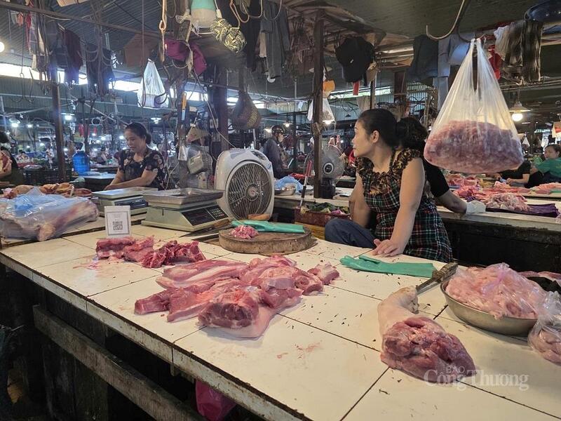 Hà Tĩnh: Dịch tả lợn châu Phi bùng phát, thị trường ảm đạm - 2