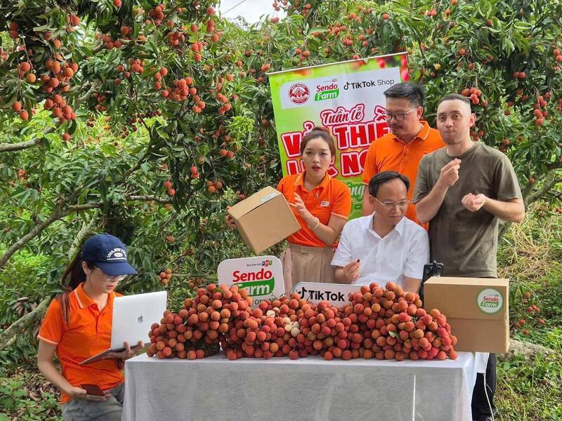 Phó Chủ tịch UBND tỉnh Bắc Ninh livestream bán hơn 54 tấn vải Lục Ngạn