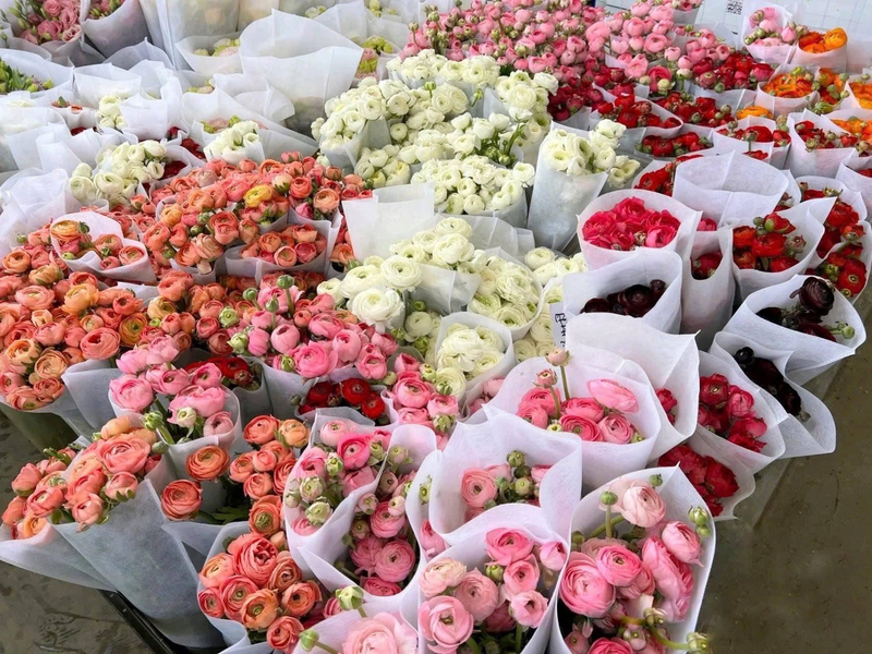 Tại chợ hoa Quảng Bá, hoa tươi được bày bán đa dạng, giá cả nhỉnh hơn so với năm ngoái. Ảnh: Trần Hoàng