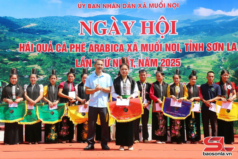 Ngày hội hái quả cà phê Arabica lần thứ nhất (Ảnh: Báo Sơn La)