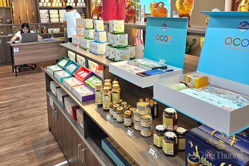 Dự thảo Nghị quyết về xúc tiến thương mại Đà Nẵng được kỳ vọng sẽ tạo động lực thôi thúc doanh nghiệp thành phố mạnh dạn lên sàn và tìm kiếm cơ hội xuất khẩu