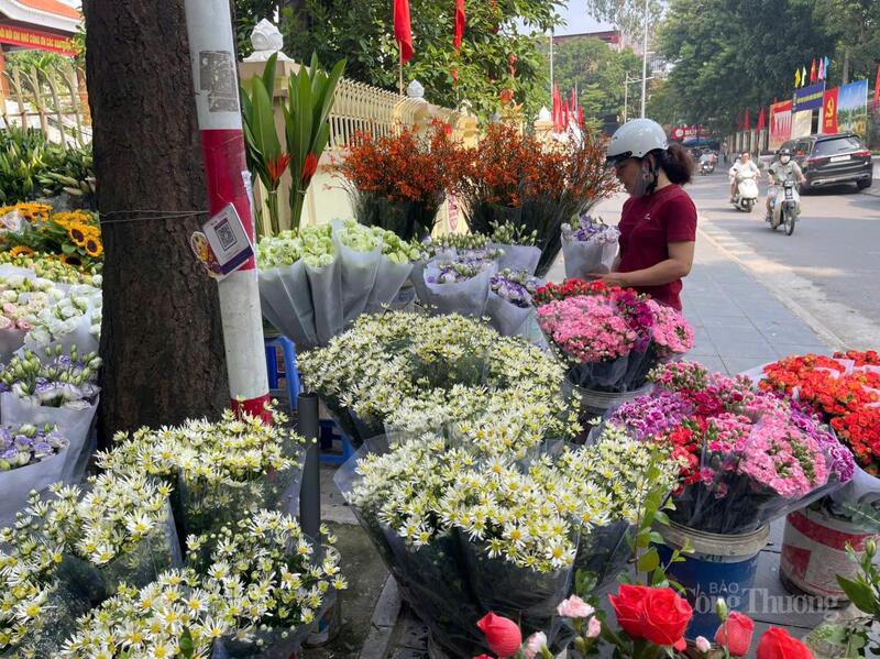 Giữa góc phố nhỏ, những bó cúc họa mi khoe sắc trắng tinh khôi.
