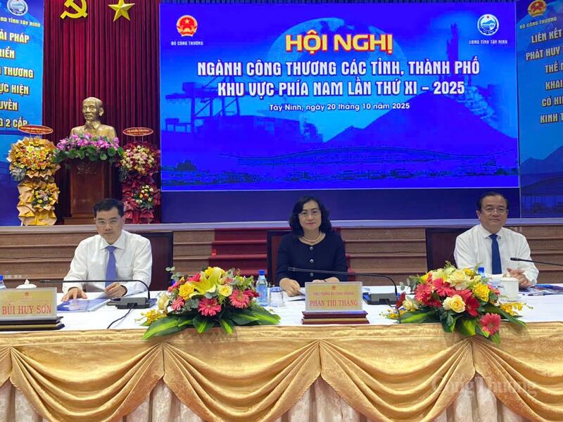 Thứ trưởng Bộ Công Thương Phan Thị Thắng đồng chủ trì hội nghị.