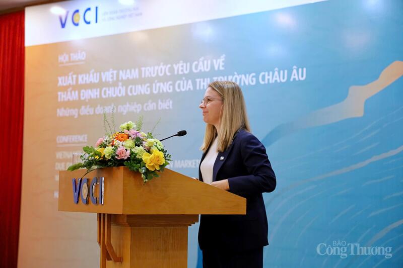Bà Vanessa Steinmetz - Giám đốc Viện FNF Việt Nam phát biểu tại hội thảo. Ảnh: Phương Thảo
