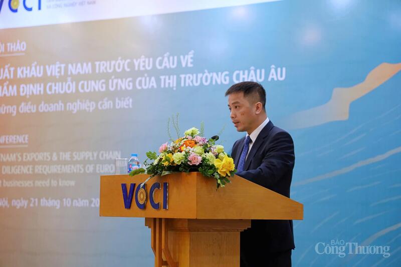 Ông Đậu Anh Tuấn phát biểu tại hội thảo. Ảnh: Phương Thảo