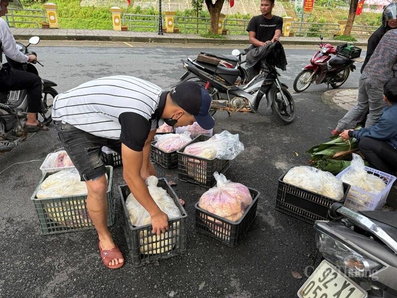 Chuẩn bị vận chuyển măng rừng từ xã Trà Vân về trung tâm TP. Đà Nẵng