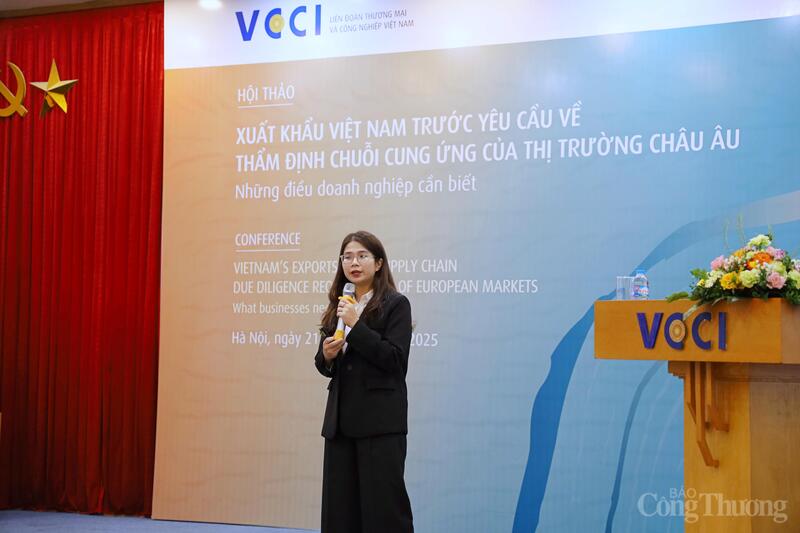 ThS. Trần Minh Thu - Thành viên Nhóm nghiên cứu VCCI phát biểu tại Hội thảo. Ảnh: Phương Thảo