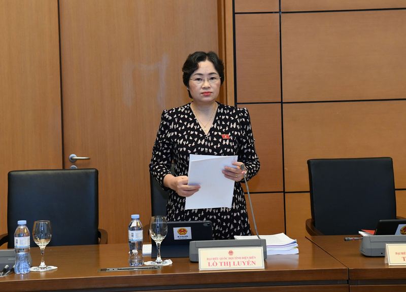 Phó Trưởng Đoàn Đại biểu Quốc hội tỉnh Điện Biên Lò Thị Luyến.