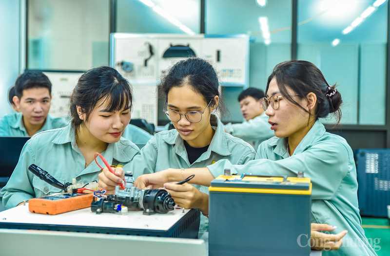 Họ là những "viên kim cương" hiếm hoi, những người tiên phong làm chủ cả cờ lê truyền thống lẫn trí tuệ nhân tạo, khẳng định rằng đam mê và kỹ thuật vĩnh viễn không có giới hạn giới tính.