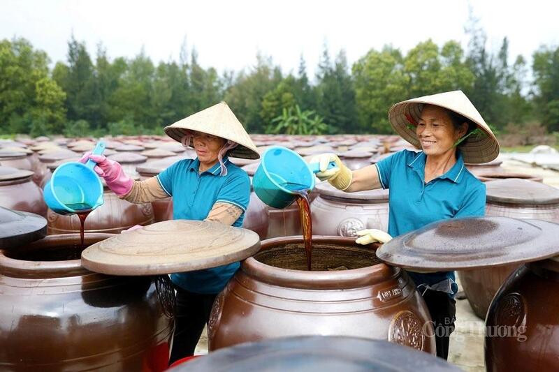 HTX thu mua & chế biến thuỷ hải sản Chiến Thắng tuyển thêm lao động để chuẩn bị cho thị trường cuối năm. Ảnh: Phúc Sơn