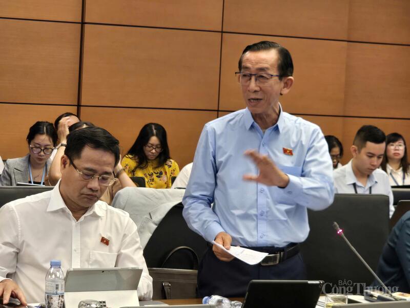 Đại biểu Trần Hoàng Ngân - đoàn TP.Hồ Chí Minh.