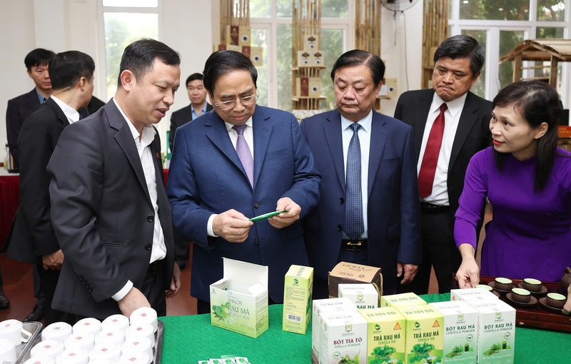 Thủ tướng Phạm Minh Chính tham quan gian hàng của THQueenFarm tại một sự kiện.