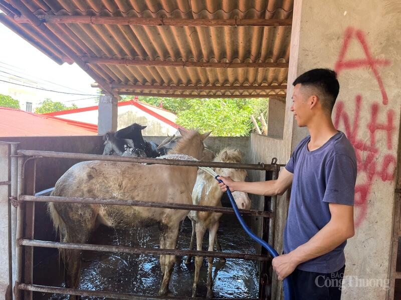 Thôn Chả đã tìm thấy hướng sinh kế mới, giúp nhiều hộ dân thoát nghèo bền vững. Ảnh: Ngọc Hoa