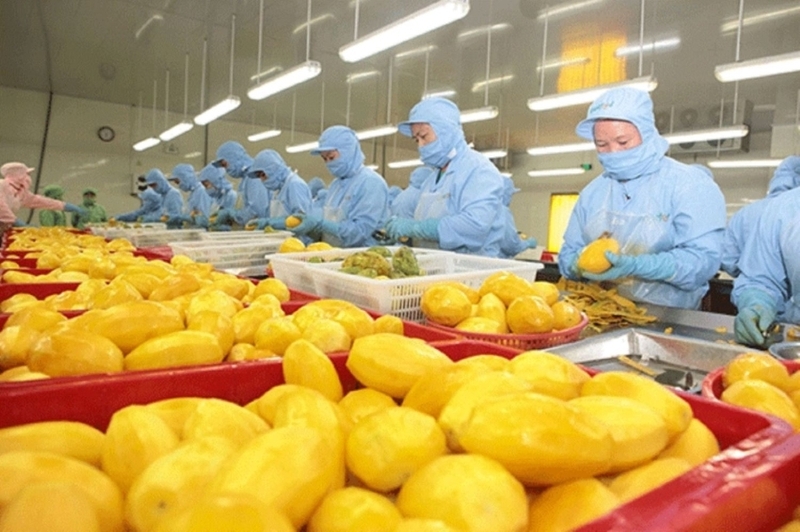 Xuất khẩu rau quả hướng tới kỷ lục mới, kỳ vọng vượt mốc 8 tỷ USD năm 2025
