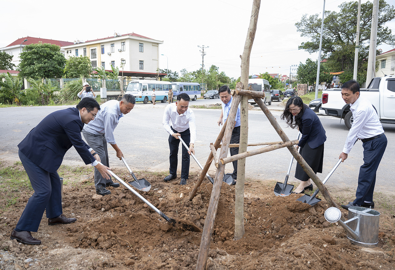 Những cây sao đen và giáng hương được trao tặng và trồng tại phường Phúc Yên và Xuân Hòa, tỉnh Phú Thọ. Ảnh: Minh Thành.