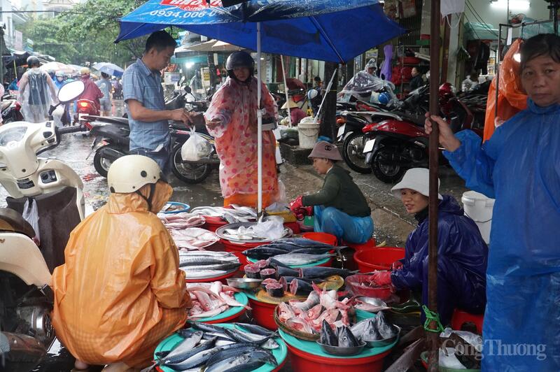 Giá các loại cá biển, tôm tăng từ 10 - 20% so với ngày thường.