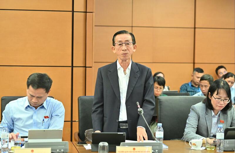 Đại biểu Trần Hoàng Ngân - đoàn TP. Hồ Chí Minh