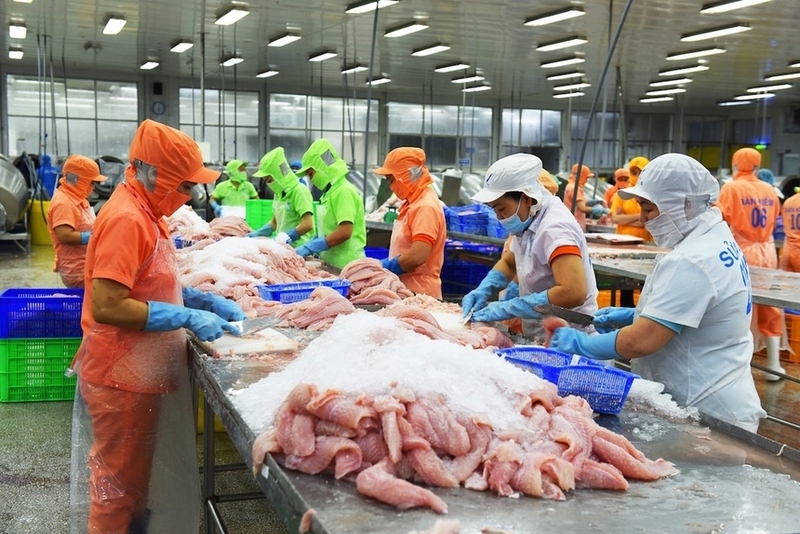 Để CPTPP thực sự trở thành “bệ phóng” cho thương mại Việt Nam - Peru, cần có sự vào cuộc mạnh mẽ của các cơ quan quản lý, hiệp hội ngành hàng và hệ thống Thương vụ Việt Nam
