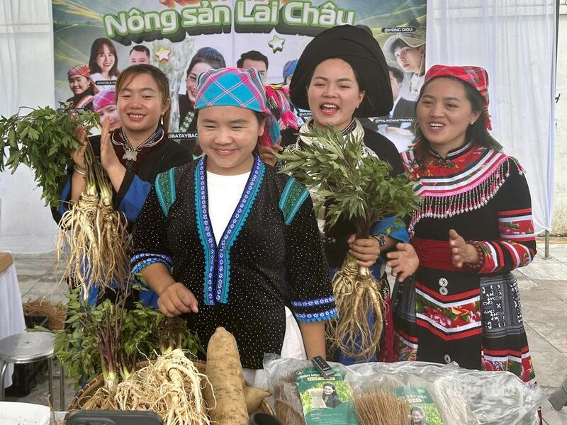 Nông sản đương quy, khoai sâm Sìn Hồ (Lai Châu) sẽ được trưng bày tại Hội chợ Mùa Thu 2025.