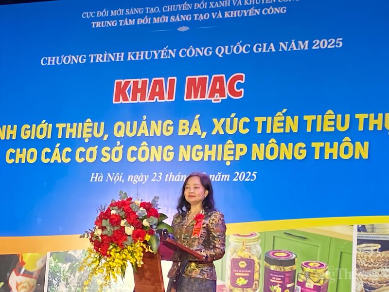 Bà Nguyễn Thị Lâm Giang, Cục trưởng Cục Đổi mới sáng tạo, Chuyển đổi xanh và Khuyến công phát biểu khai mạc Chương trình. Ảnh: Thanh Vân
