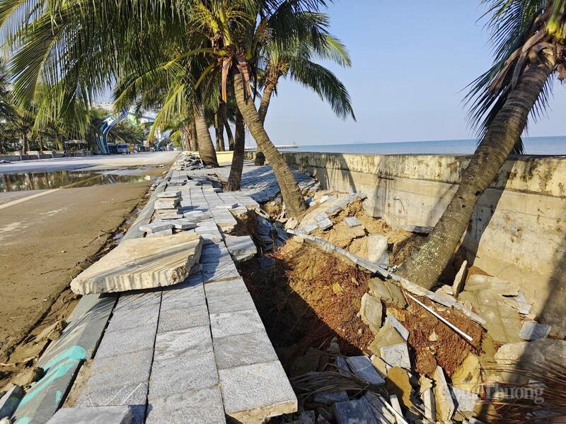 Người dân địa phương cũng như những cơ sở kinh doanh trong khu du lịch rất mong những thiệt hại này nhanh chóng được khắc phục, để trả lại vẻ đẹp vốn có của Khu du lịch Hải Tiến