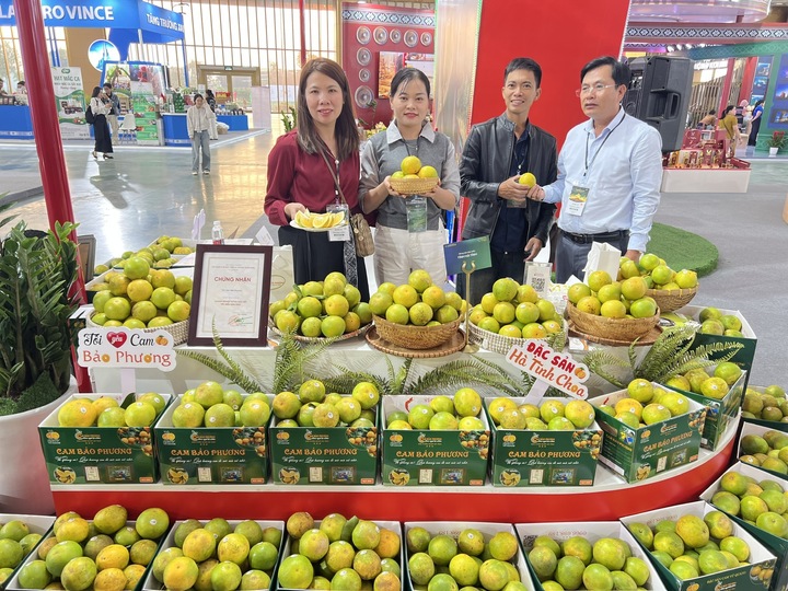 Cam Bảo Phương, sản phẩm OCOP 3 sao của Hà Tĩnh tham gia hội chợ.