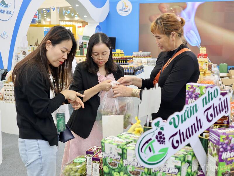 Gian hàng tỉnh Khánh Hòa thu hút đông đảo du khách với sắc xanh biển cả và những đặc sản trứ danh như rong nho tươi, bánh tráng xoài, mắm cá cơm, nước yến sào - mang hương vị mặn mòi của xứ biển vào giữa lòng Hà Nội.