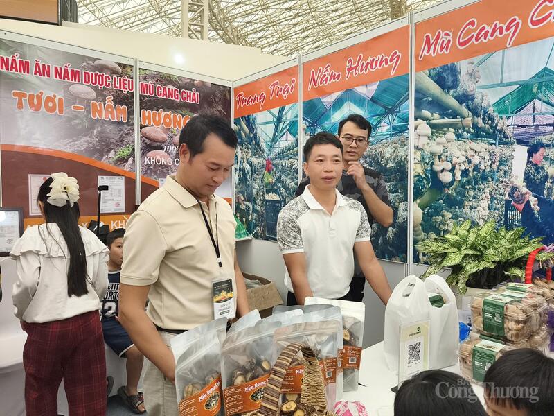 Anh Nguyễn Hoàng Anh - Giám đốc Công ty TNHH Sản xuất nấm ăn, nấm dược liệu Mù Cang Chải (đứng giữa) chia sẻ với phóng viên Báo Công Thương. Ảnh: Nguyễn Hoà