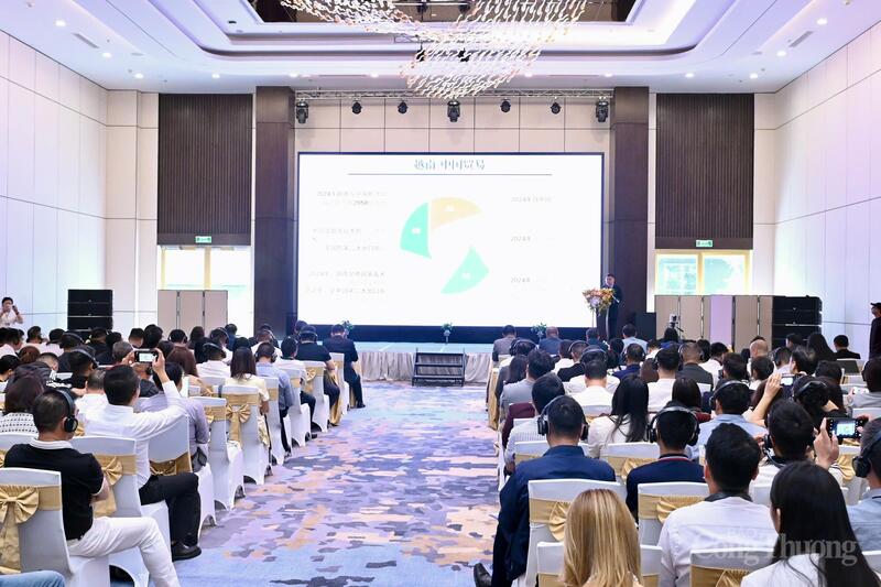 Toàn cảnh Hội nghị. Ảnh: Bùi Giang